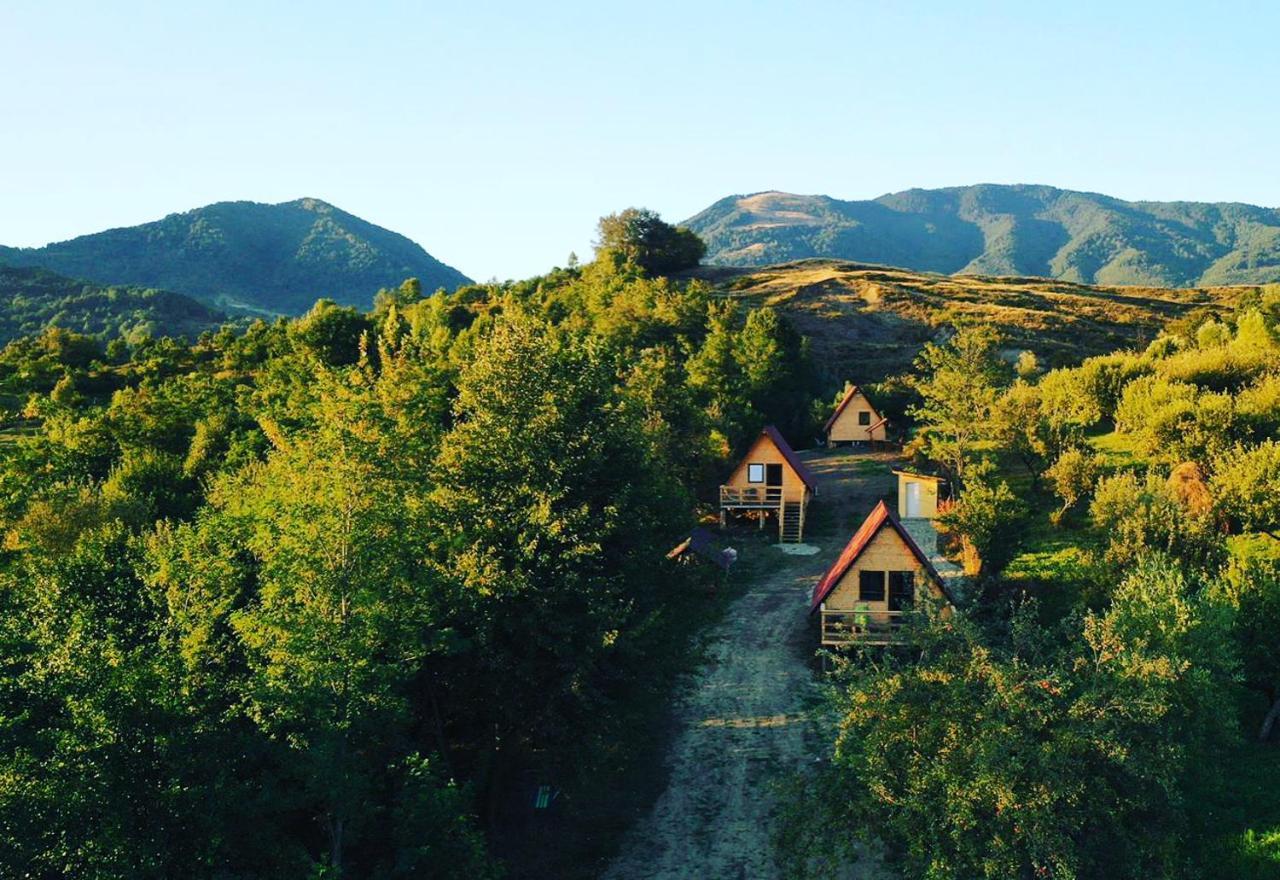 Cabanele Lu' Dinu Curtea De Arges Exterior photo